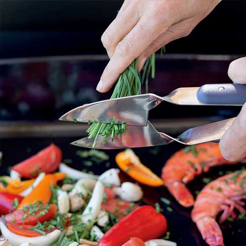 Ciseaux de cuisine en inox - ENO promotion