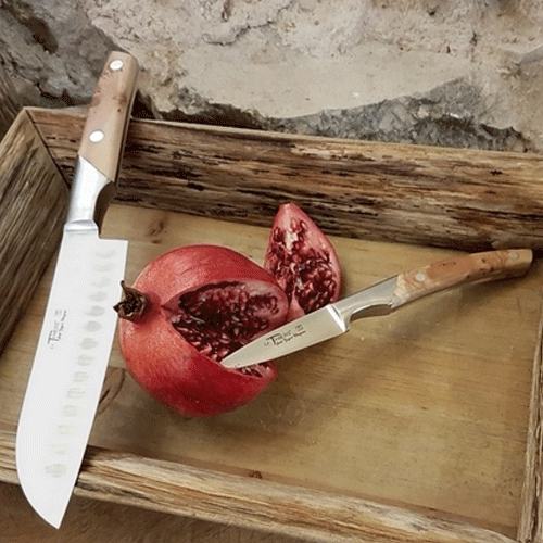 Couteaux de cuisine Le Thiers - GOYON-CHAZEAU