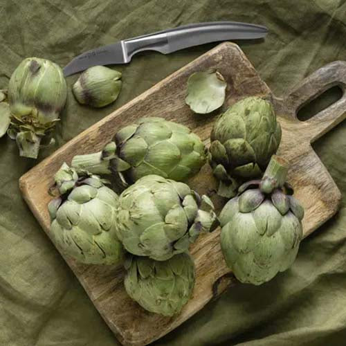 Couteau Bec d'Oiseau 7 cm Styl'Ver - GOYON-CHAZEAU fruits et légumes