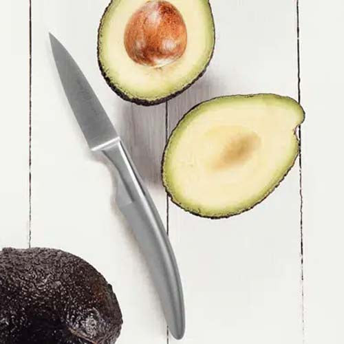 Couteau d'Office 9 cm Styl'Ver - GOYON-CHAZEAU lame forgée