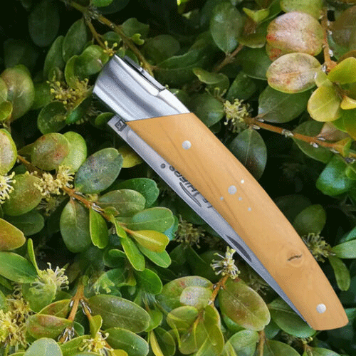 Couteau pliant Le Thiers Pirou 12cm Olivier avec Etui en cuir OFFERT - GOYON-CHAZEAU