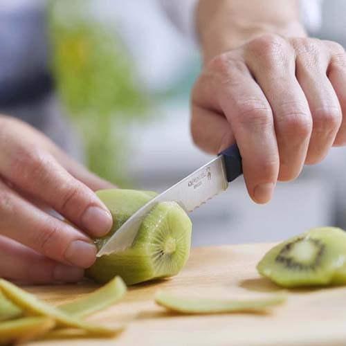 Couteau Cranté Essentiel n°313 - OPINEL bleu