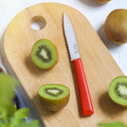 Couteau Cranté Essentiel n°313 - OPINEL rouge kiwi