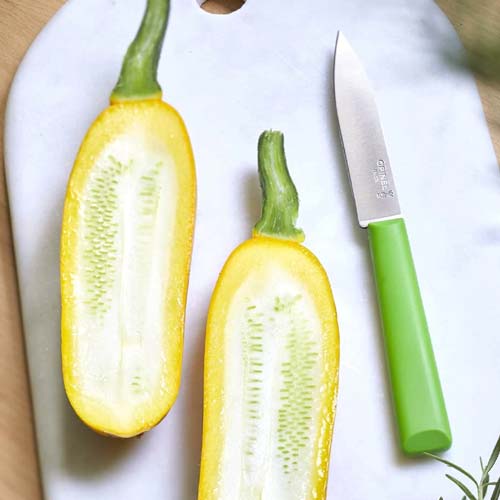 Couteau Office Essentiel n°312 - OPINEL vert couteau de cuisine