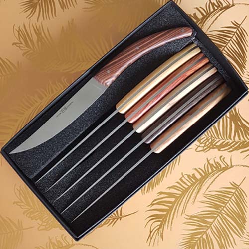 Coffret de 6 couteaux Styl'Ver Brasserie Bois Assortis - GOYON-CHAZEAU couteaux de table panachés