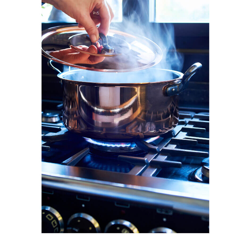 Faitout Cuivre Tous Feux couvercle OFFERT - BAUMALU en cuisine