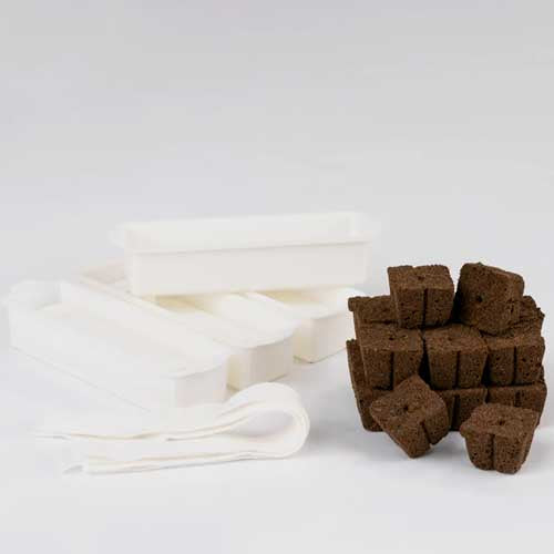 Kit de culture - VERITABLE fleur