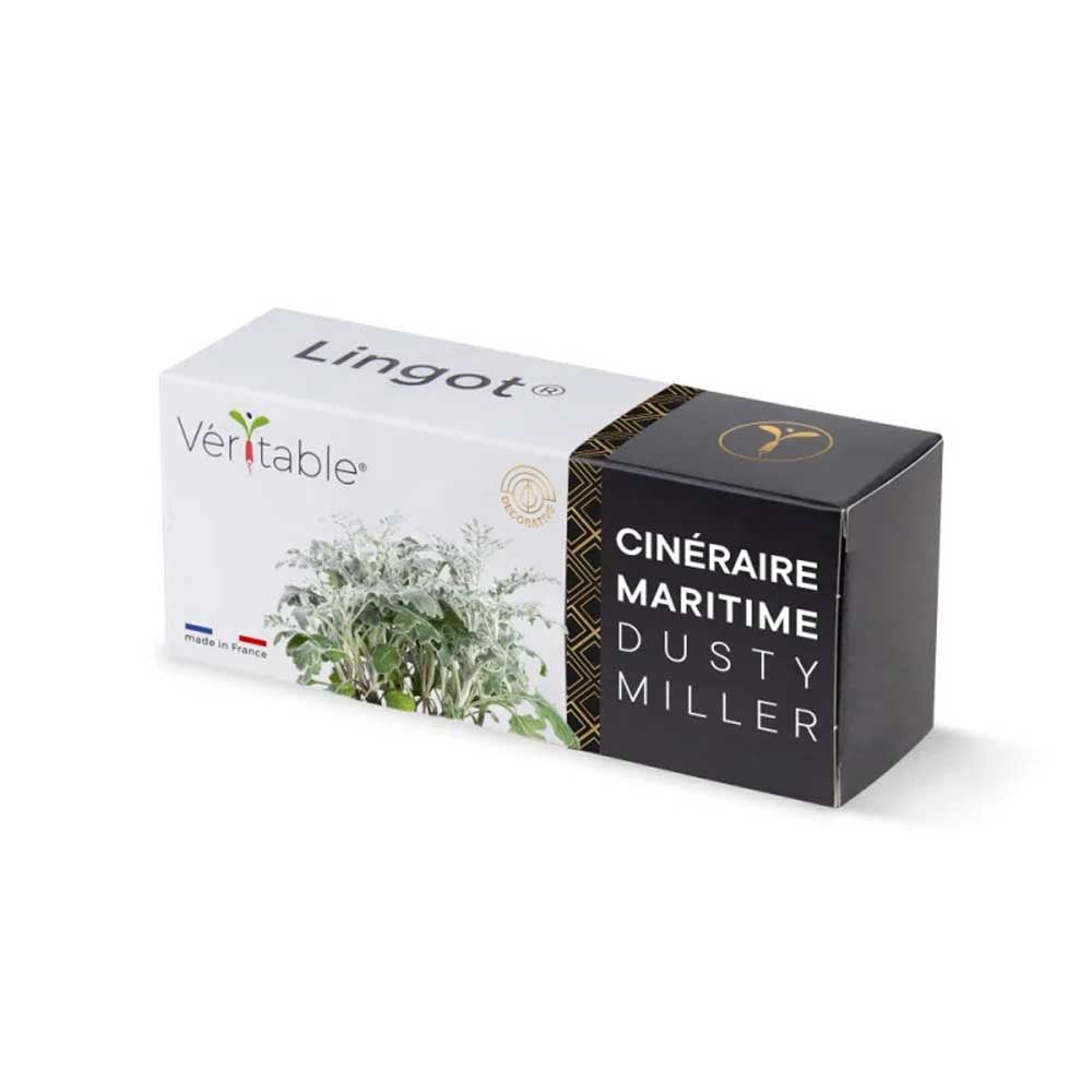 Lingot Cinéraire Maritime - VERITABLE pack