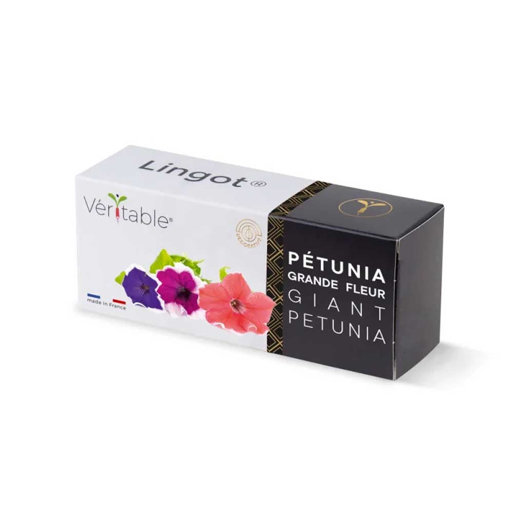Lingot Pétunia Grande Fleur - VERITABLE pack