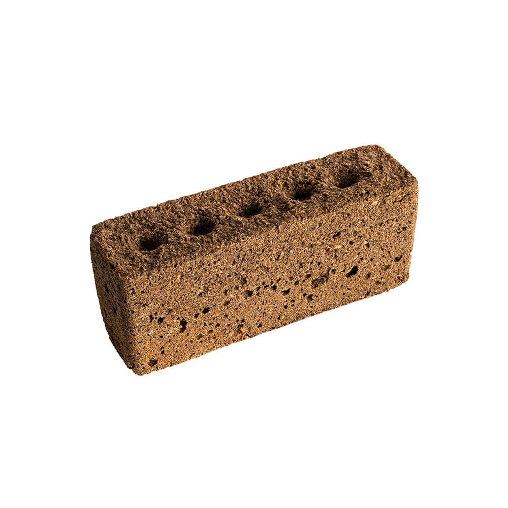 Lingot sans graines - VERITABLE