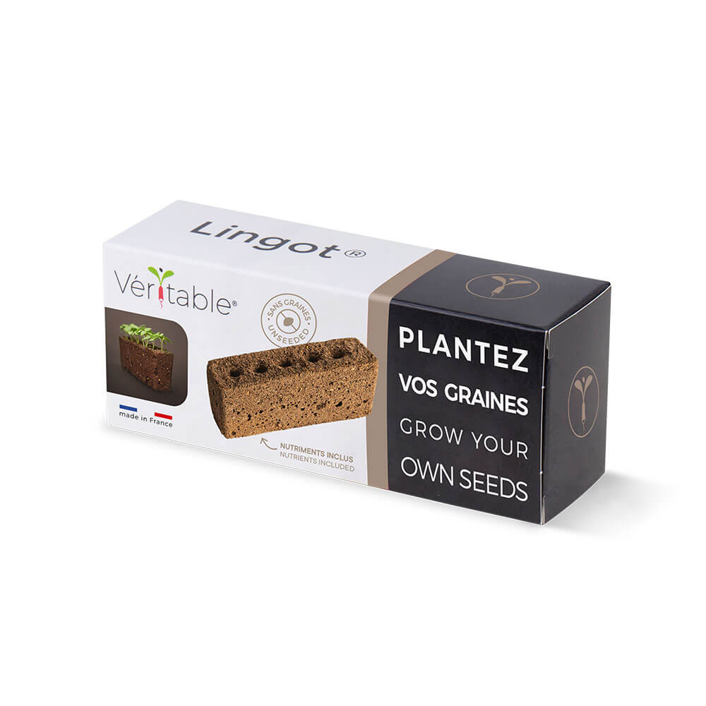 Lingot sans graines - VERITABLE