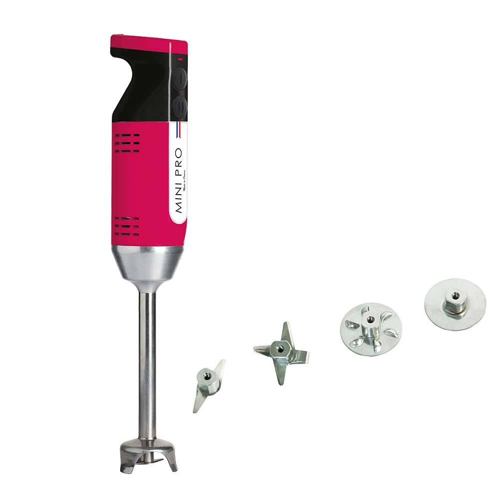 Mixeur plongeant polyvalent mini-pro Framboise Noir 4 couteaux- DYNAMIC