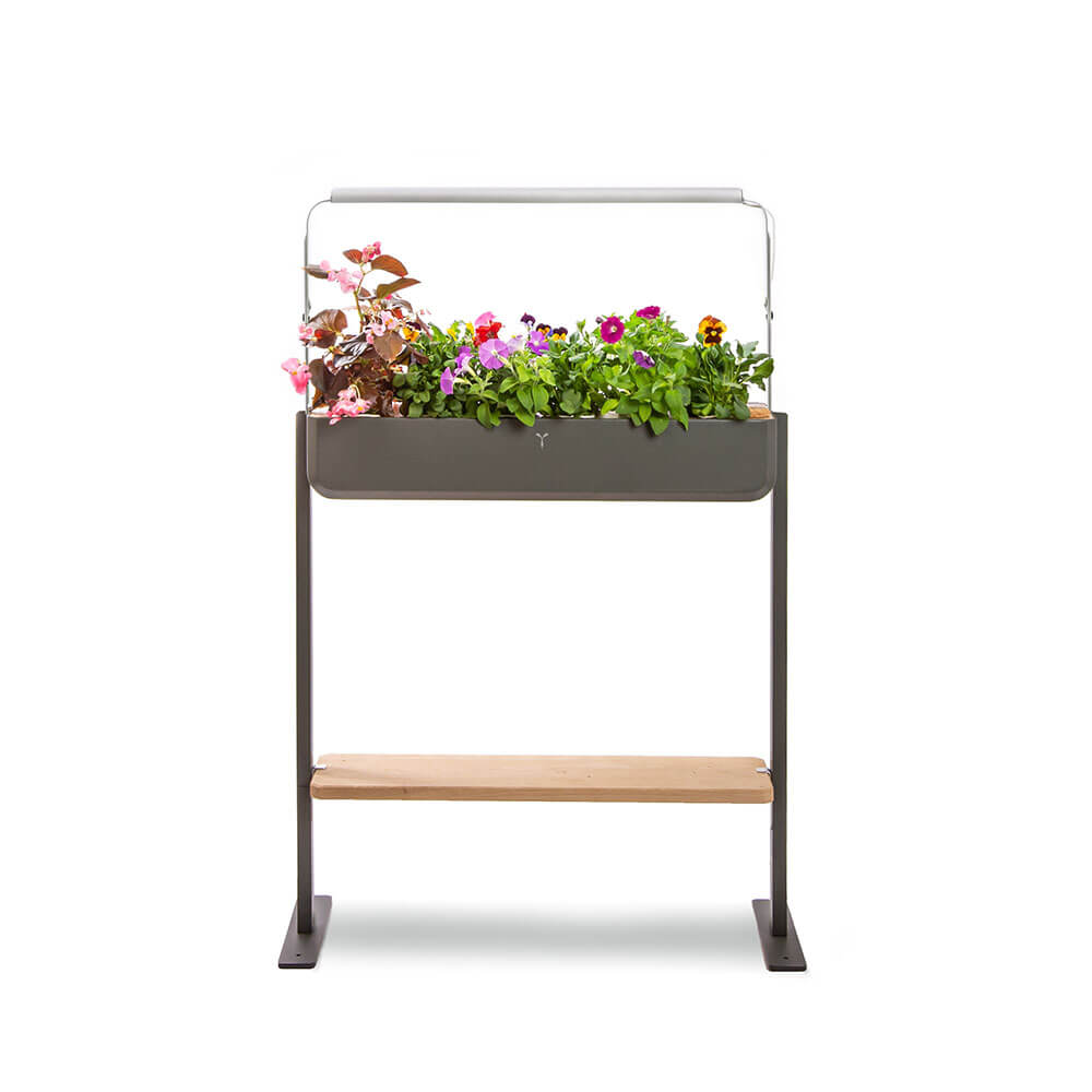 Potager Gourmet Intérieur 1 Bac avec Etagère Bois et 6 Lingots OFFERTS - VERITABLE