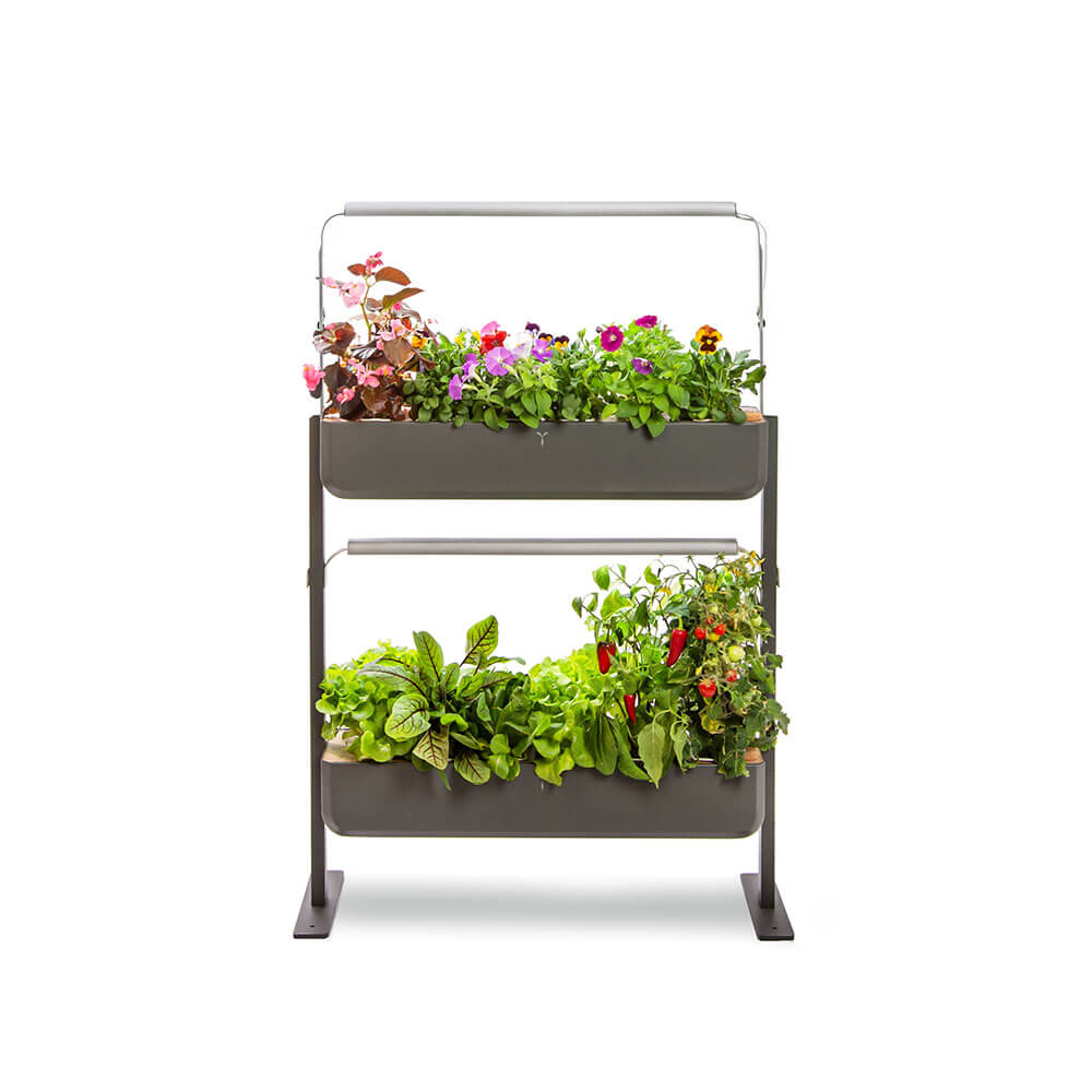 Potager Gourmet Intérieur 2 Bacs et 12 Lingots OFFERTS - VERITABLE