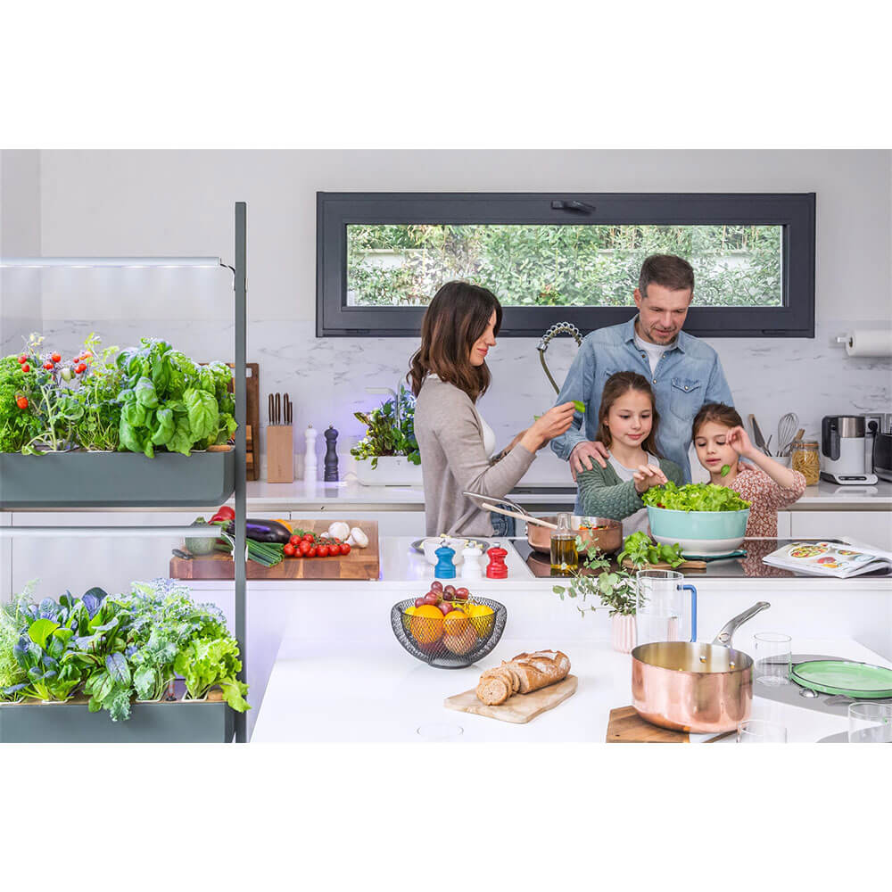 Potager Gourmet Intérieur 2 Bacs et 12 Lingots OFFERTS - VERITABLE vu dans une cuisine