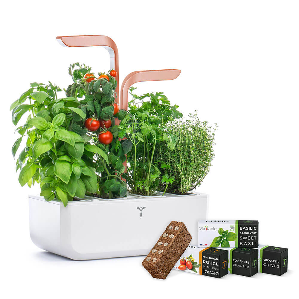 Potager d'intérieur Véritable Smart White Copper avec 4 lingots OFFERTS présenté avec des lingots- VERITABLE