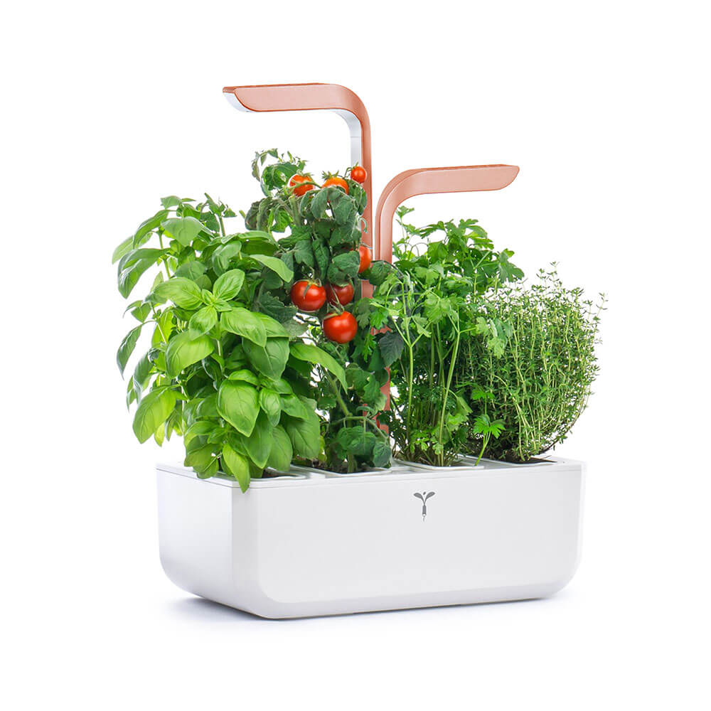 Potager d'intérieur Véritable Smart White Copper avec 4 lingots OFFERTS - VERITABLE