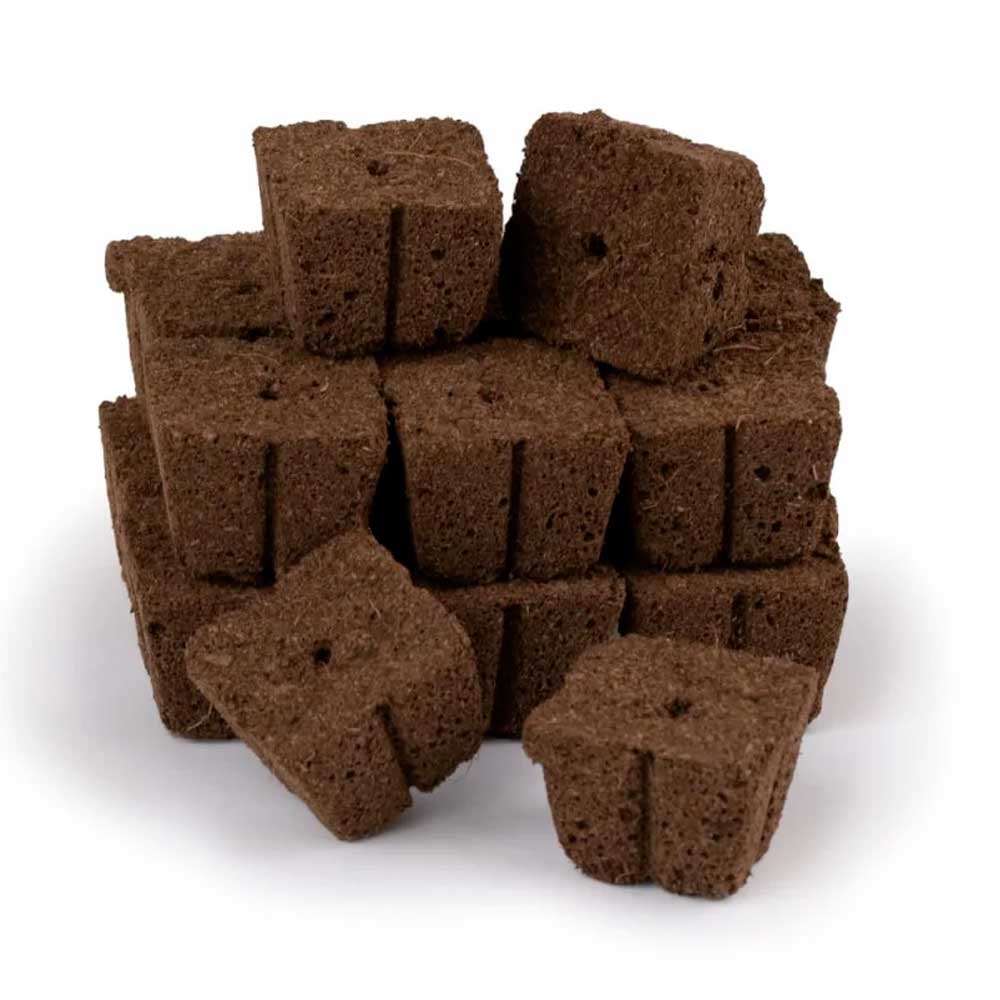 Recharge pour Kit de culture - VERITABLE