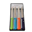 Coffret 4 Couteaux à Steak avec Manches Couleur - Au Sabot