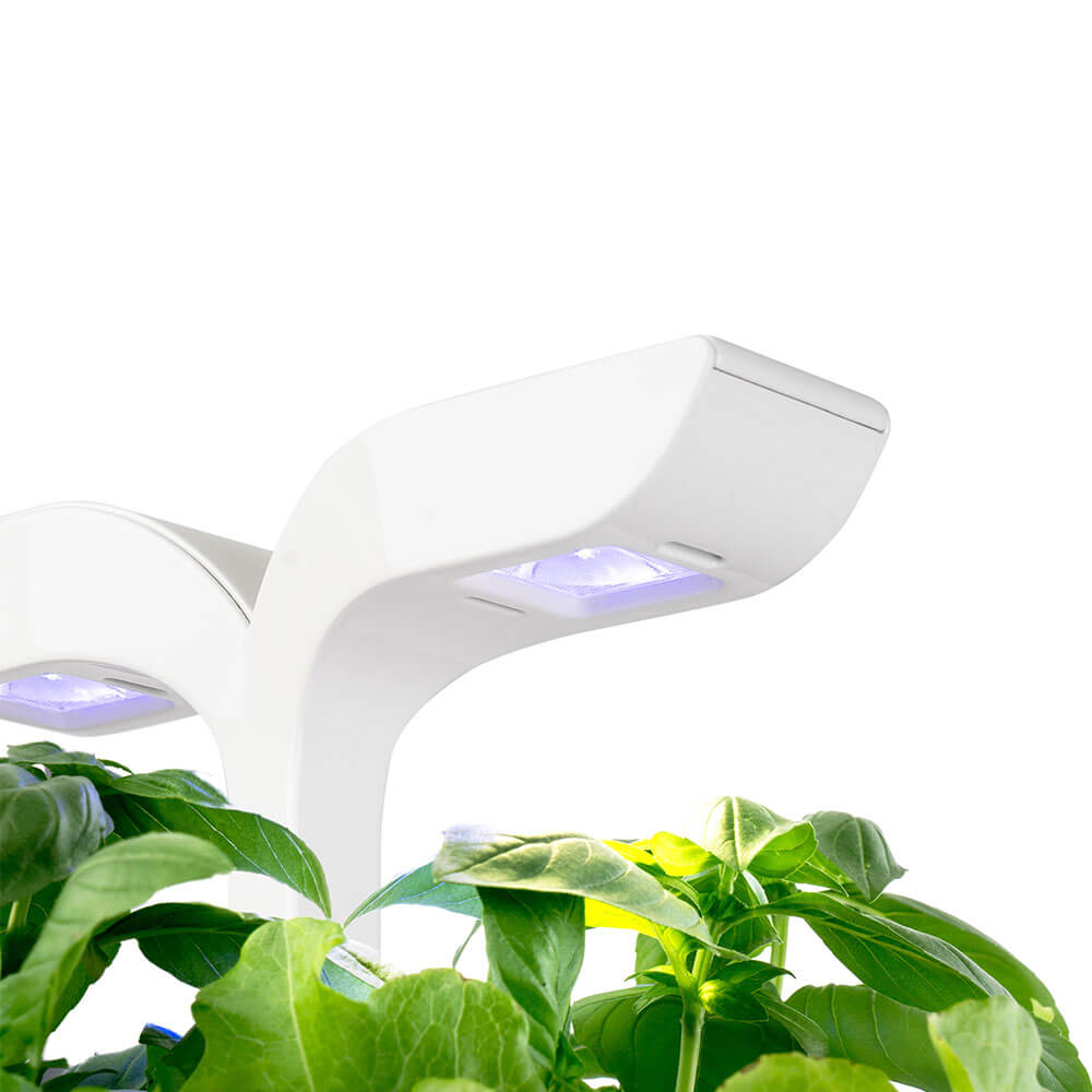 Lampes LED du Potager Exky Classic - VERITABLE