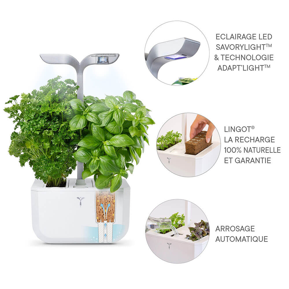 Technologie du Potager d'intérieur Exky Smart Blanc avec 2 lingots OFFERTS - VERITABLE