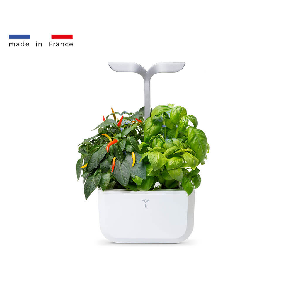 Potager d'intérieur Exky Smart Blanc avec 2 lingots OFFERTS - VERITABLE