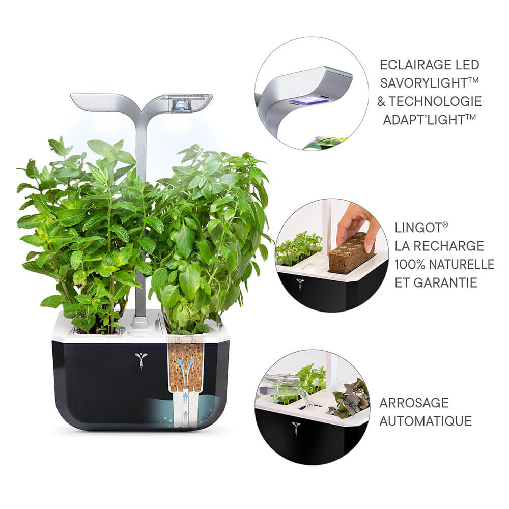 Potager d'intérieur Exky Smart Noir avec 2 lingots OFFERTS - VERITABLE