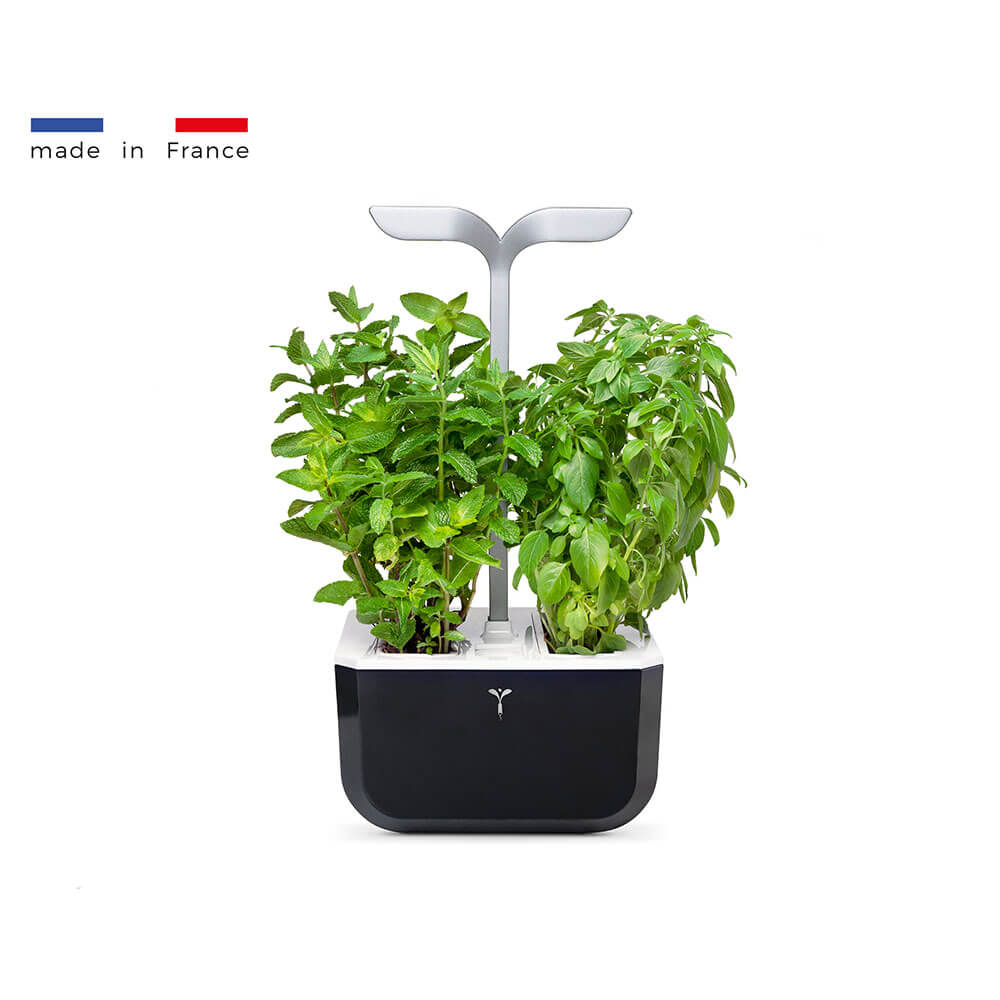 Potager d'intérieur Exky Smart Noir avec 2 lingots OFFERTS - VERITABLE