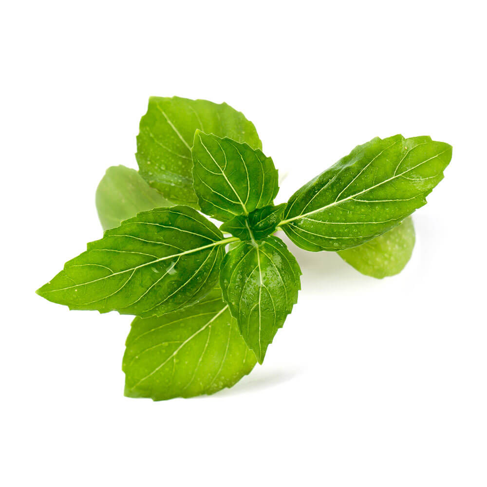 Lingot Basilic Cannelle BIO - VERITABLE