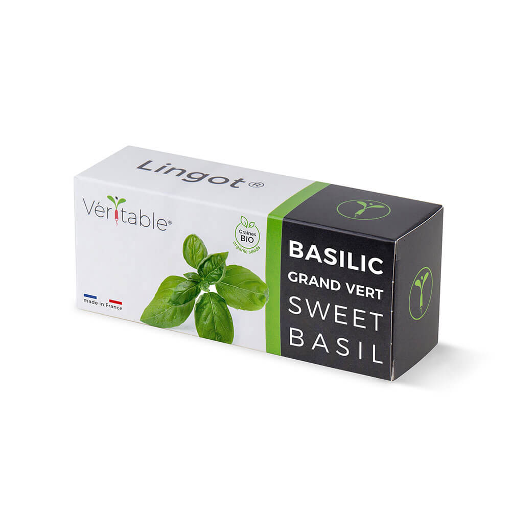 Lingot Basilic grand vert BIO emballé - VERITABLE