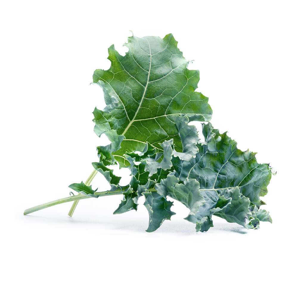Lingot Chou Kale BIO - VERITABLE