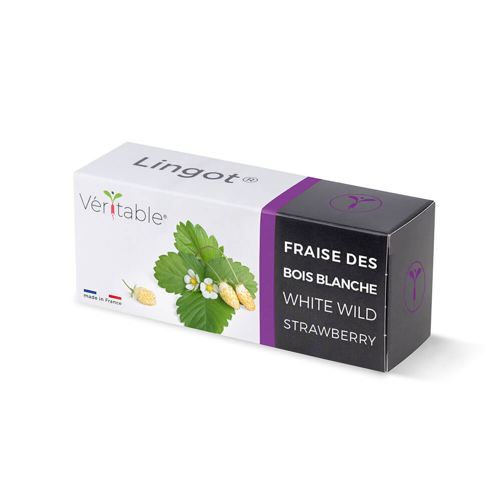 Lingot Fraise des Bois Blanche emballé - VERITABLE