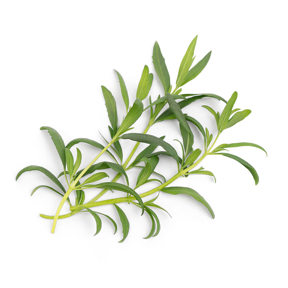 Lingot Hysope BIO - VERITABLE