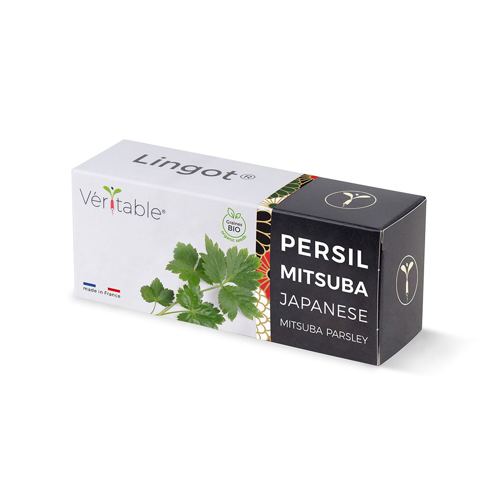 Lingot Persil Japonais Mitsuba emballé - VERITABLE