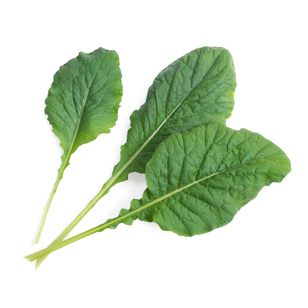 Lingot Komatsuna - VERITABLE