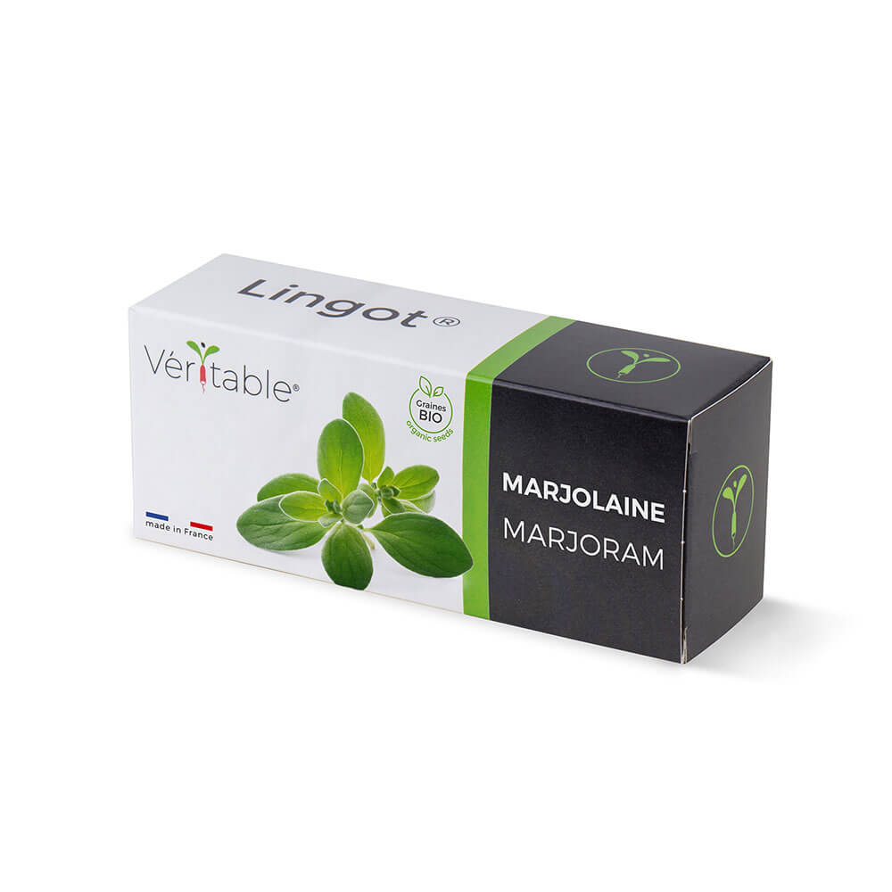 Lingot Marjolaine BIO emballé - VERITABLE