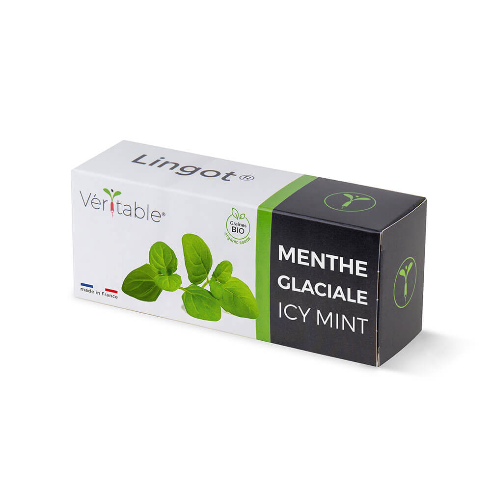 Lingot Menthe Glaciale BIO emballé - VERITABLE