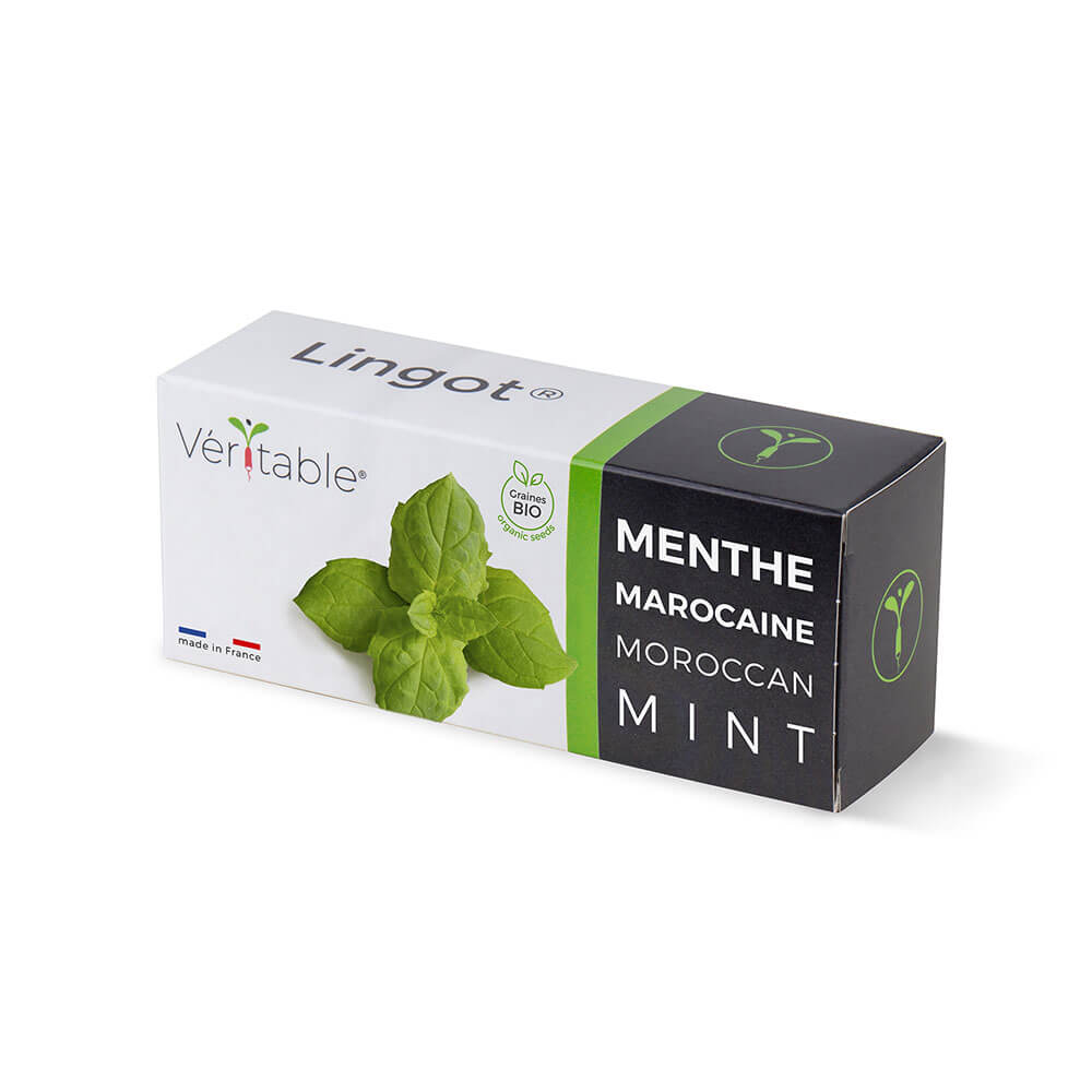 Lingot Menthe Marocaine BIO emballé - VERITABLE