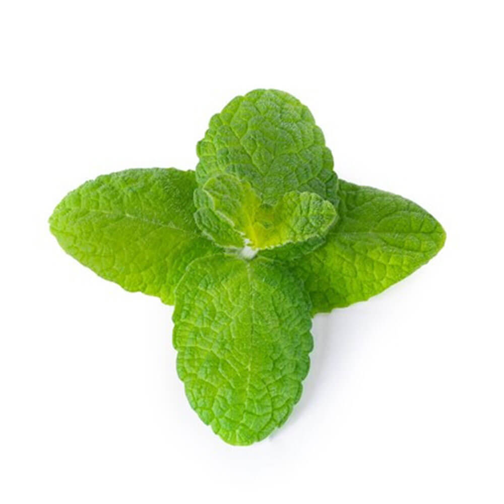 Lingot Menthe Pomme - VERITABLE