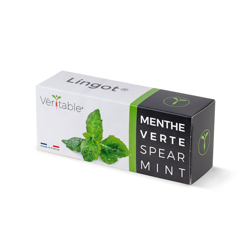 Lingot Menthe verte emballé - VERITABLE