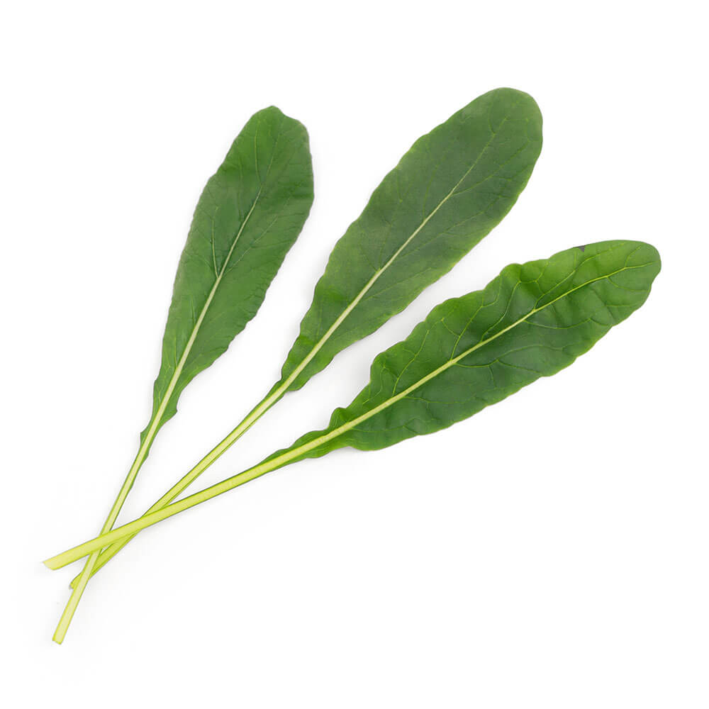 Lingot Mibuna - VERITABLE