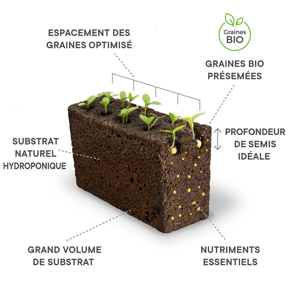 Composition du Lingot Mini Poivron Jaune BIO - VERITABLE