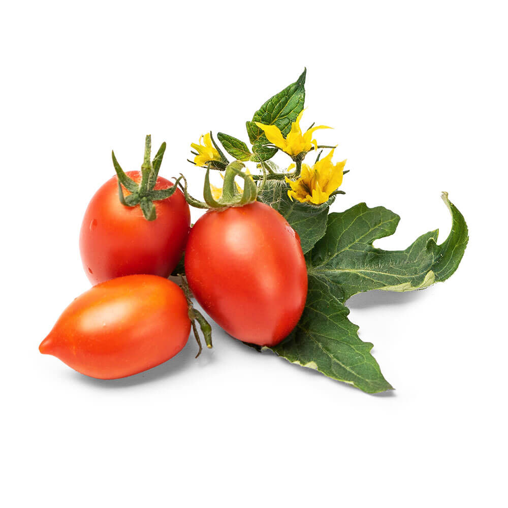 Lingot Mini Tomate Rouge - VERITABLE