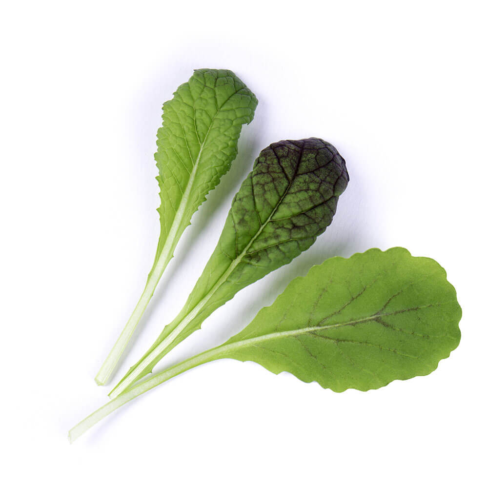 Lingot Moutarde Rouge BIO - VERITABLE