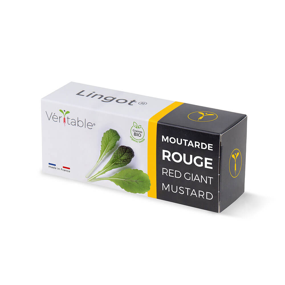 Lingot Moutarde Rouge BIO emballé - VERITABLE