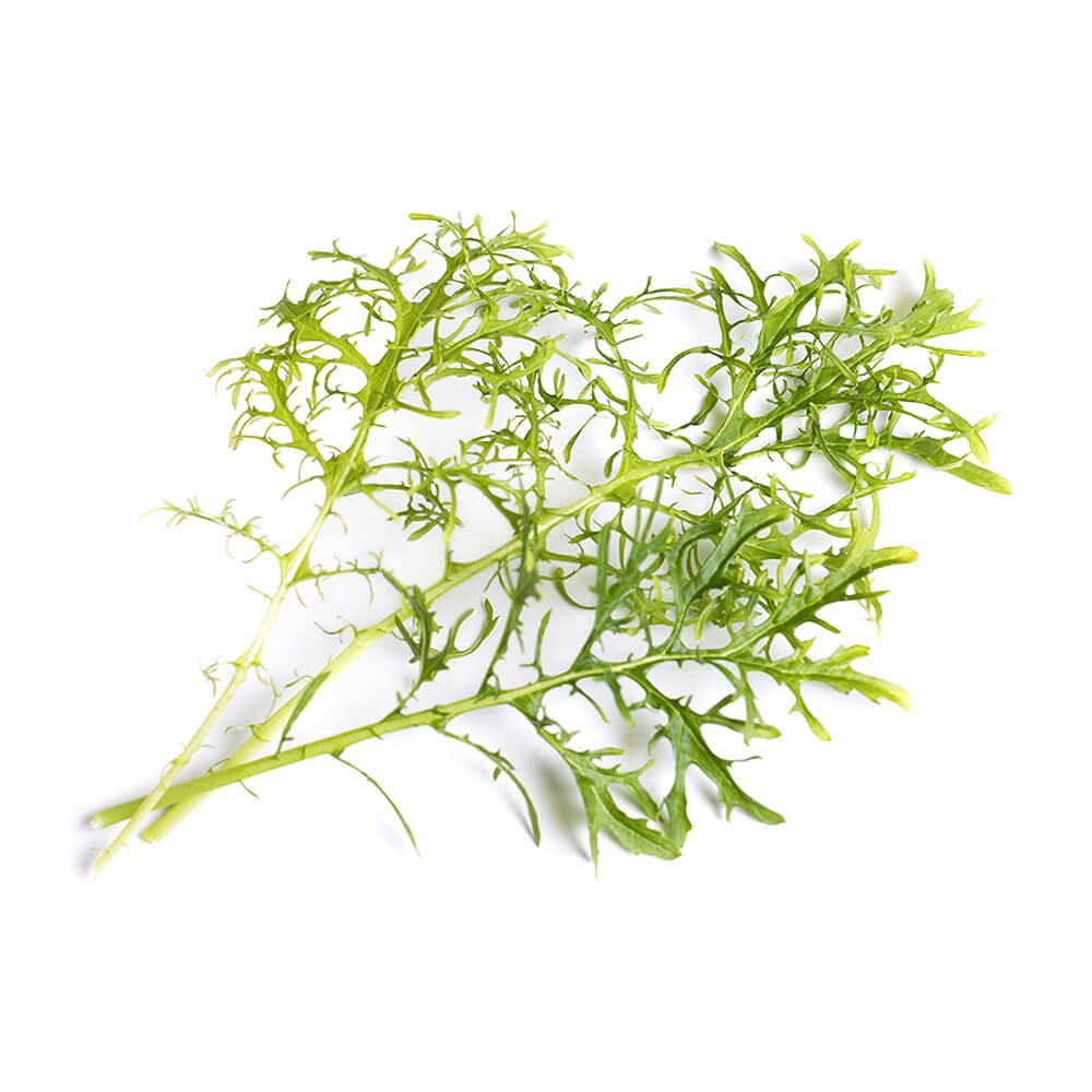 Lingot Moutarde Verte BIO - VERITABLE