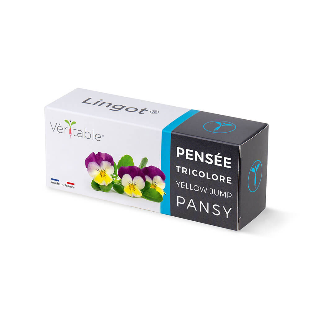 Lingot Pensée Tricolore emballé - VERITABLE