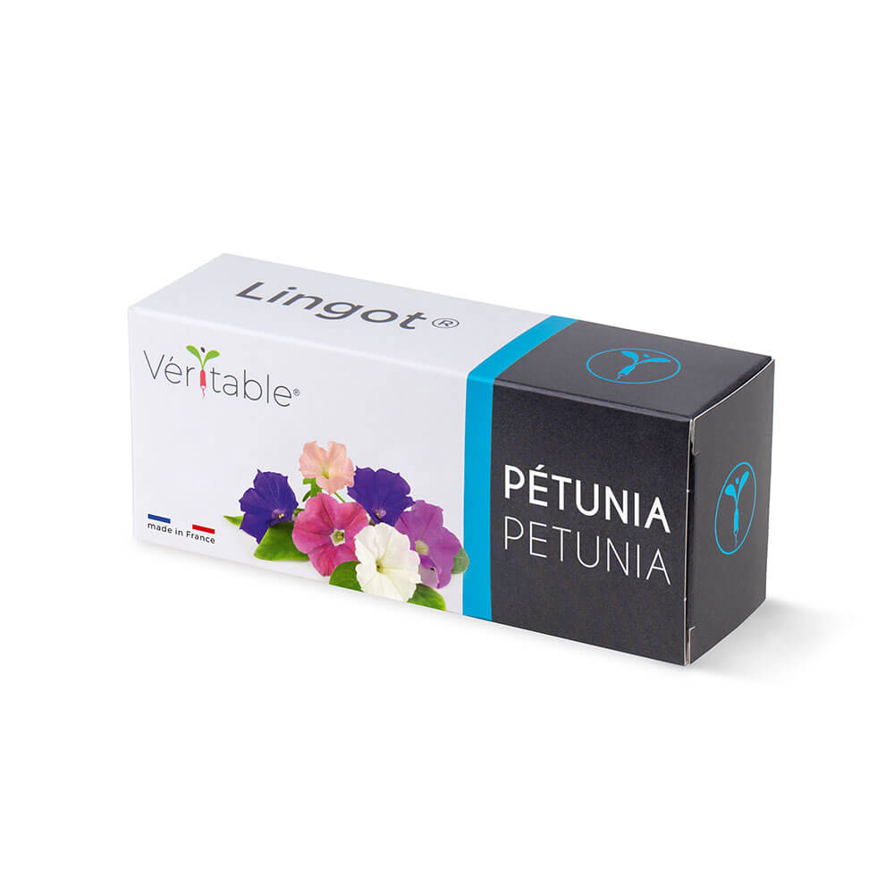 Lingot Pétunia emballé - VERITABLE