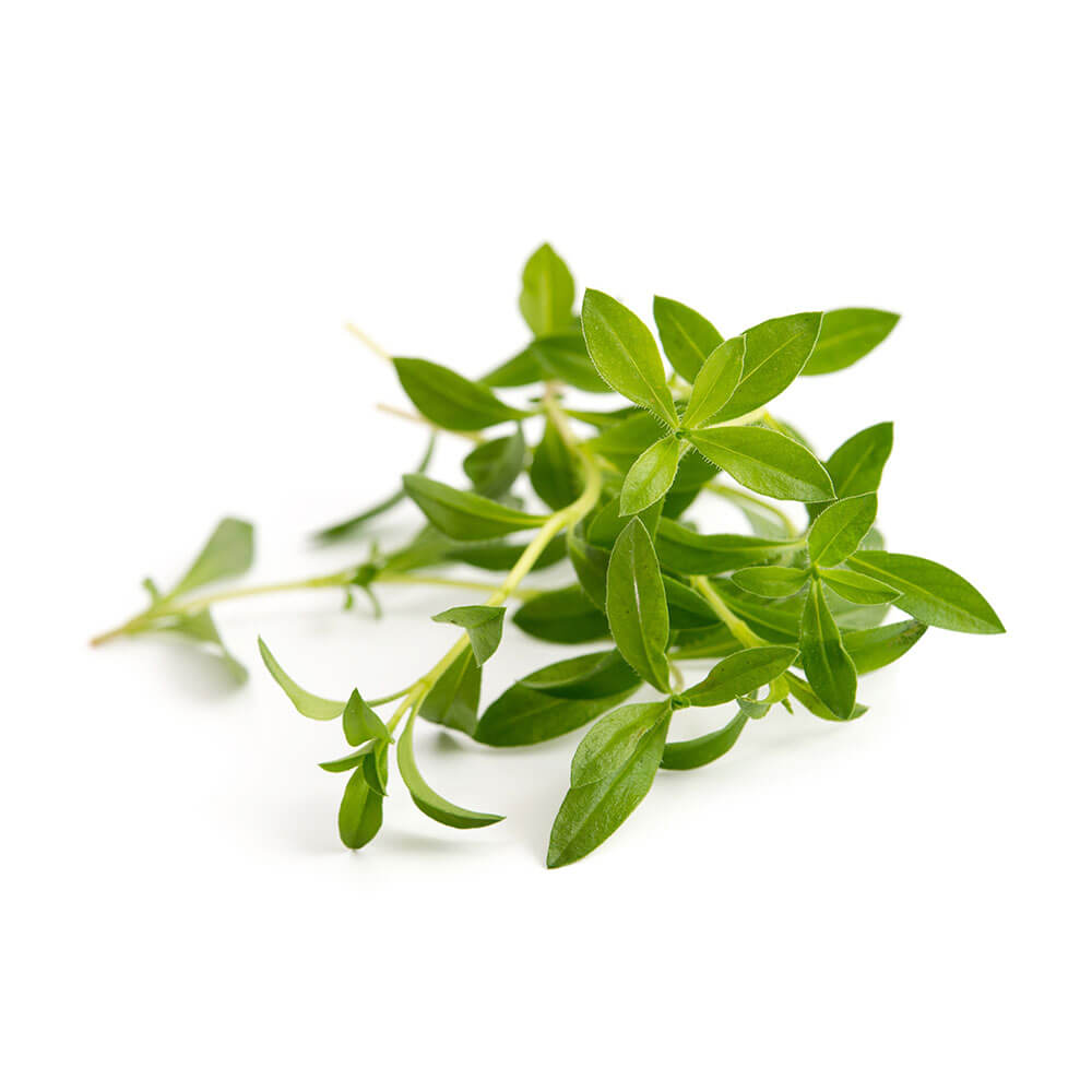 Lingot Sarriette BIO - VERITABLE