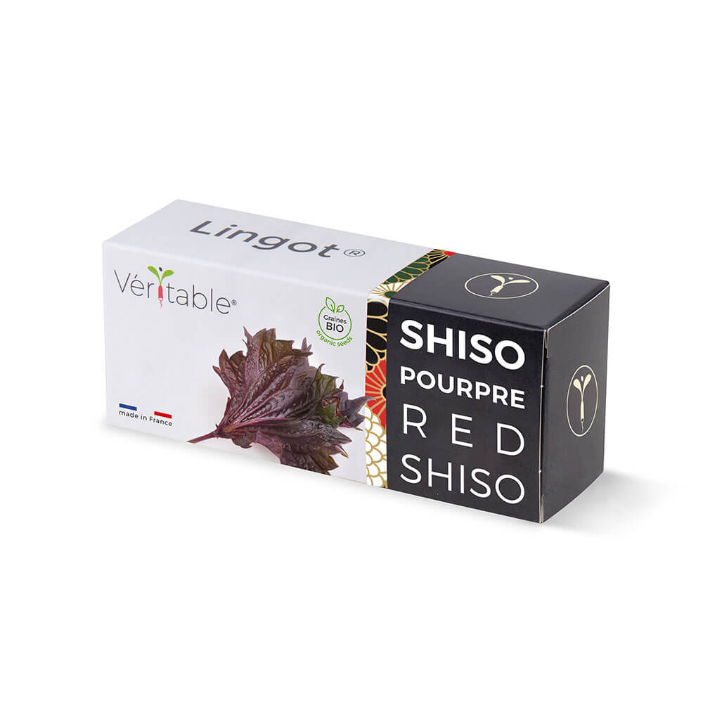 Lingot Shiso pourpre BIO emballé - VERITABLE